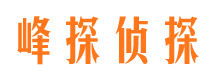 河源市婚外情调查